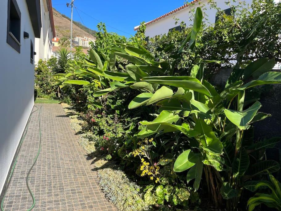 Moradia Com Piscina No Canico Exteriér fotografie